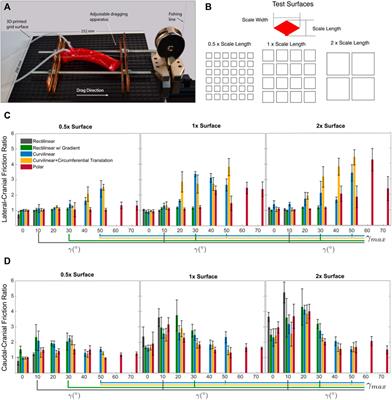 Curvilinear Kirigami Skins Let Soft Bending Actuators Slither Faster